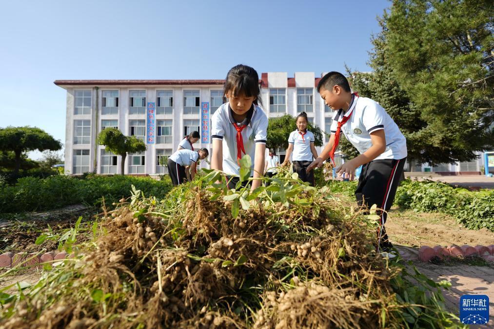 澳门新普京应用
